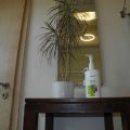 DSCN8016.jpg