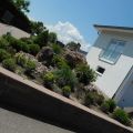 DSCN8092.jpg