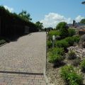DSCN8094.jpg