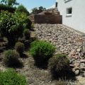 DSCN8096.jpg
